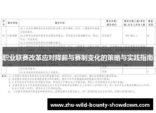 职业联赛改革应对降薪与赛制变化的策略与实践指南 职业联赛改革应对降薪与赛制变化的策略与实践指南