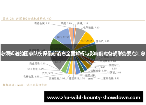 必须知道的国家队伤停最新消息全面解析与影响前瞻备战形势要点汇总